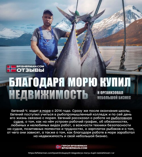bfishg_456032.jpg