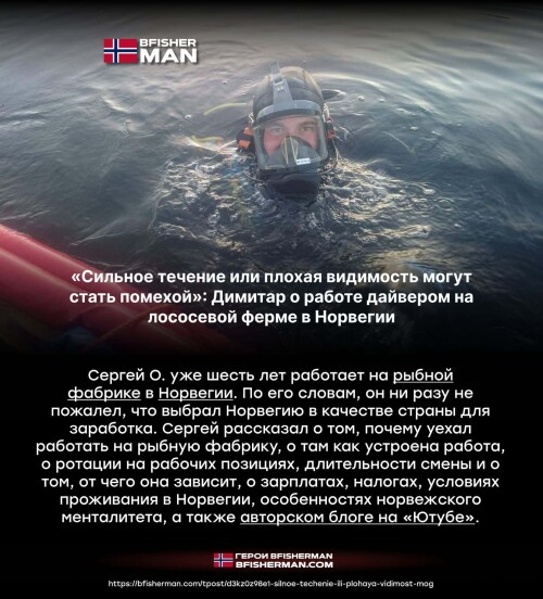 bfishg_583965.jpg